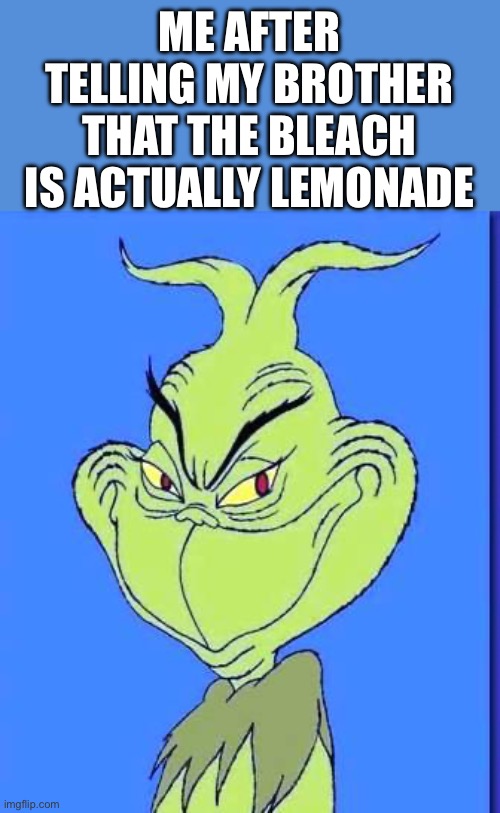 Good Grinch | ME AFTER TELLING MY BROTHER THAT THE BLEACH IS ACTUALLY LEMONADE | image tagged in good grinch | made w/ Imgflip meme maker