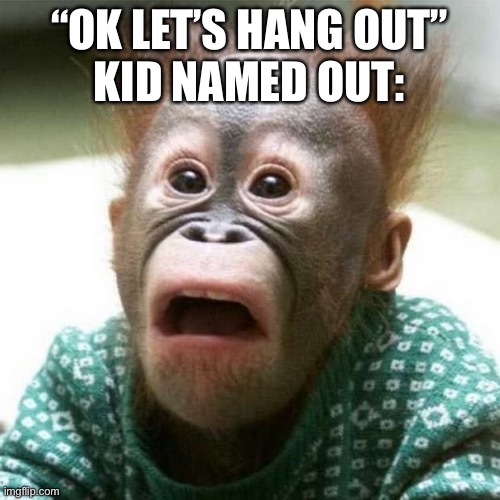 Shocked Monkey | “OK LET’S HANG OUT”
KID NAMED OUT: | image tagged in shocked monkey,monkey,kid named | made w/ Imgflip meme maker