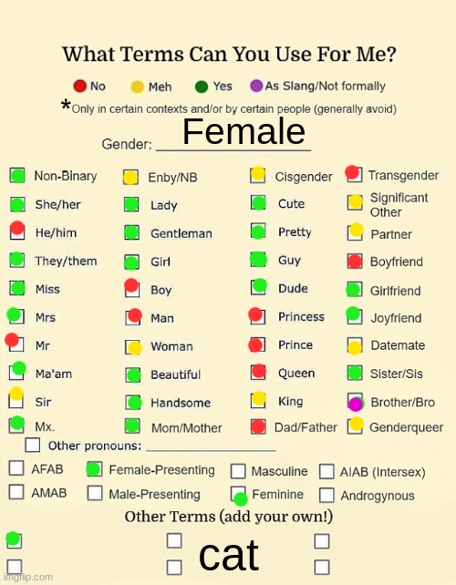 idk this is popular so | Female; cat | image tagged in pronoun sheet to use,pronouns,pronouns sheet | made w/ Imgflip meme maker
