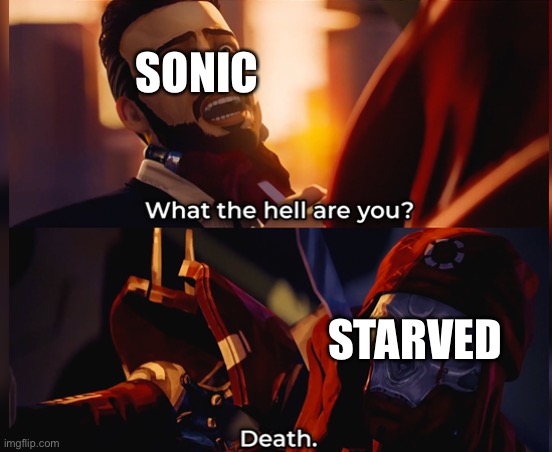 Man, you really like scrambling your own plans don'tcha-" | SONIC; STARVED | image tagged in what the hell are you death,sonic the hedgehog | made w/ Imgflip meme maker
