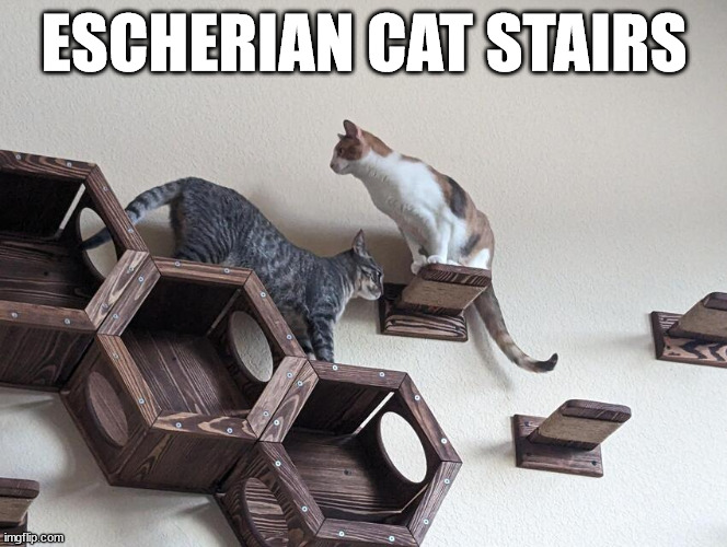 Escherian Cat Stairs | ESCHERIAN CAT STAIRS | image tagged in cats,funny cat memes,first world problems cat,caturday | made w/ Imgflip meme maker