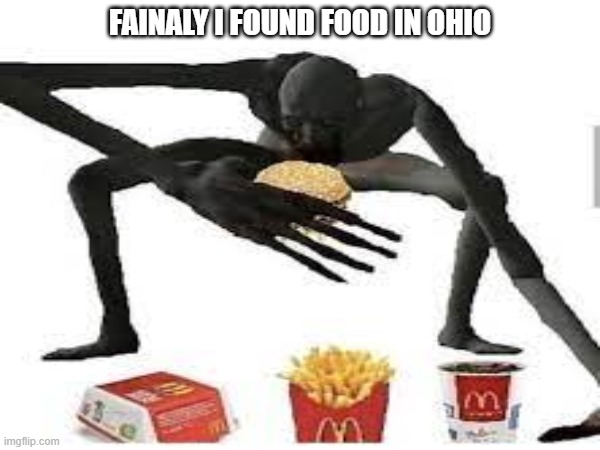 Found food in Ohio guys | FAINALY I FOUND FOOD IN OHIO | image tagged in ohio,scp meme,mcdonalds | made w/ Imgflip meme maker