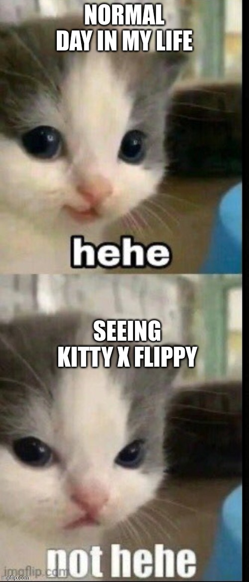 NORMAL DAY IN MY LIFE SEEING KITTY X FLIPPY | made w/ Imgflip meme maker
