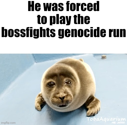 I feel like the bossfights game should be rated T or M | He was forced to play the bossfights genocide run | image tagged in crying seal | made w/ Imgflip meme maker