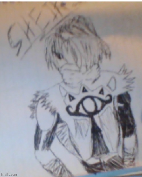 I drew it | image tagged in sheik | made w/ Imgflip meme maker