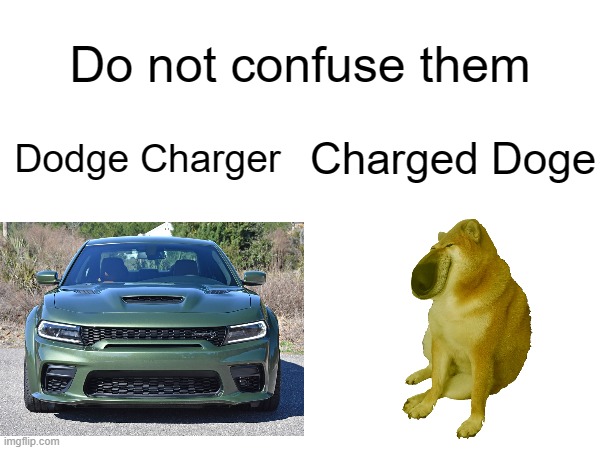 Do not confuse them; Dodge Charger; Charged Doge | image tagged in memes,dodge | made w/ Imgflip meme maker
