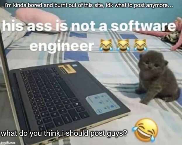 also i feel like i’ve been more rude, sorry to anyone that i’ve been rude to in advance | i’m kinda bored and burnt out of this site, idk what to post anymore…; what do you think i should post guys? | image tagged in software engineer | made w/ Imgflip meme maker