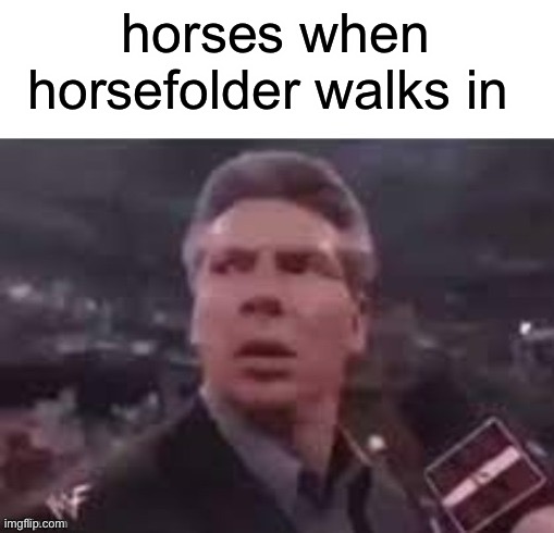 x when x walks in | horses when horsefolder walks in | image tagged in x when x walks in,horse | made w/ Imgflip meme maker