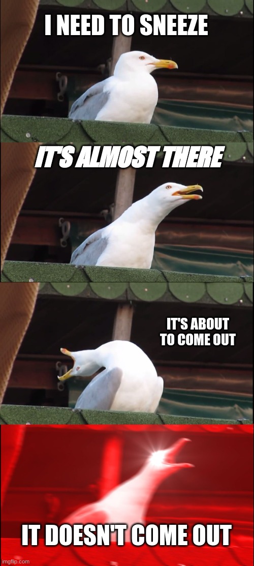 Inhaling Seagull Meme | I NEED TO SNEEZE; IT'S ALMOST THERE; IT'S ABOUT TO COME OUT; IT DOESN'T COME OUT | image tagged in memes,inhaling seagull | made w/ Imgflip meme maker