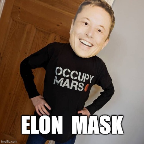 Elon Mask | ELON  MASK | image tagged in elon musk,funny memes,memes,tesla,funny,humor | made w/ Imgflip meme maker