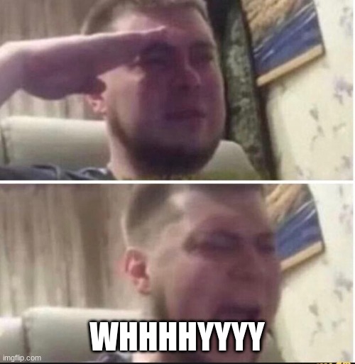 Crying salute | WHHHHYYYY | image tagged in crying salute | made w/ Imgflip meme maker