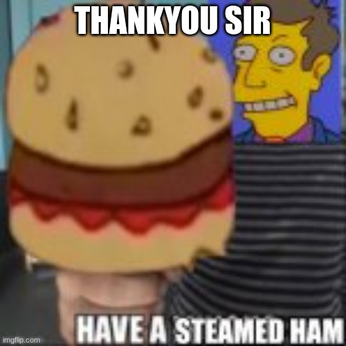 Have a steamed ham | THANKYOU SIR | image tagged in have a steamed ham | made w/ Imgflip meme maker