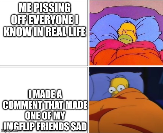 Homer Simpson sleeping | ME PISSING OFF EVERYONE I KNOW IN REAL LIFE; I MADE A COMMENT THAT MADE ONE OF MY IMGFLIP FRIENDS SAD | image tagged in homer simpson sleeping | made w/ Imgflip meme maker