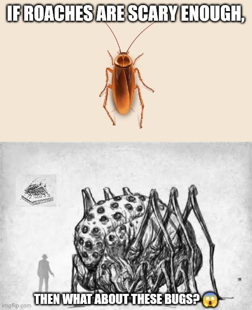 IF ROACHES ARE SCARY ENOUGH, THEN WHAT ABOUT THESE BUGS? 😱 | image tagged in memes,scary,bugs | made w/ Imgflip meme maker