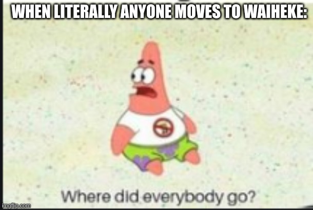 No one lives in waiheke | WHEN LITERALLY ANYONE MOVES TO WAIHEKE: | image tagged in alone patrick | made w/ Imgflip meme maker