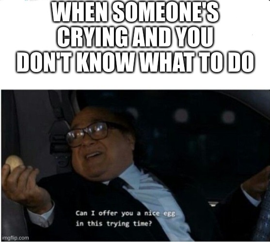 Can I offer you an egg | WHEN SOMEONE'S CRYING AND YOU DON'T KNOW WHAT TO DO | image tagged in can i offer you an egg | made w/ Imgflip meme maker