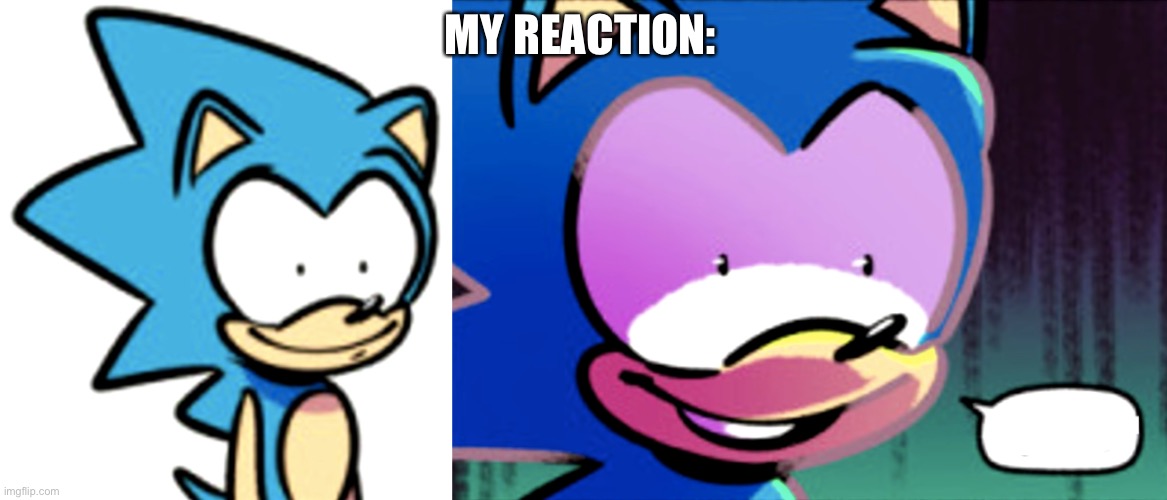 Sonic what/no | MY REACTION: | image tagged in sonic what/no | made w/ Imgflip meme maker