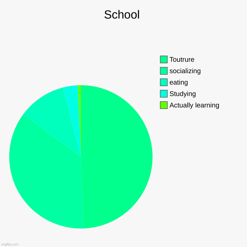 School | Actually learning, Studying, eating, socializing, Toutrure | image tagged in charts,pie charts | made w/ Imgflip chart maker