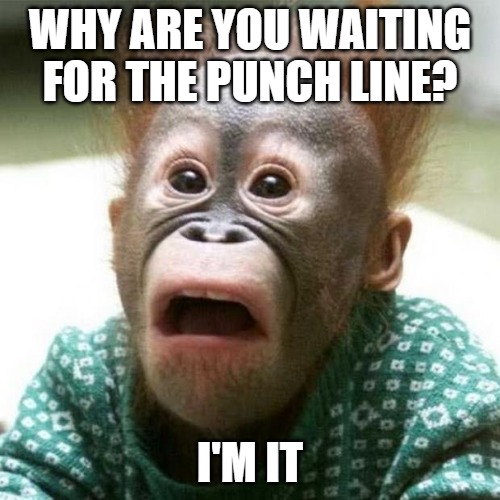 Shocked Monkey | WHY ARE YOU WAITING FOR THE PUNCH LINE? I'M IT | image tagged in shocked monkey | made w/ Imgflip meme maker