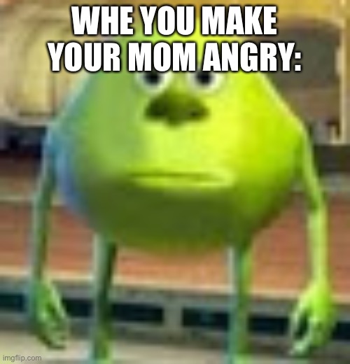 Sully Wazowski | WHE YOU MAKE YOUR MOM ANGRY: | image tagged in sully wazowski,monsters inc | made w/ Imgflip meme maker