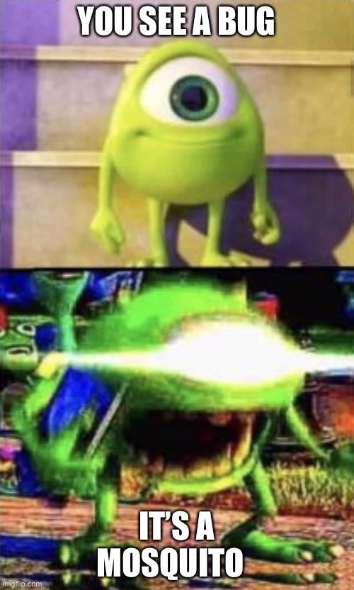 Mike wazowski | YOU SEE A BUG; IT’S A MOSQUITO | image tagged in mike wazowski,mosquito,monsters inc | made w/ Imgflip meme maker