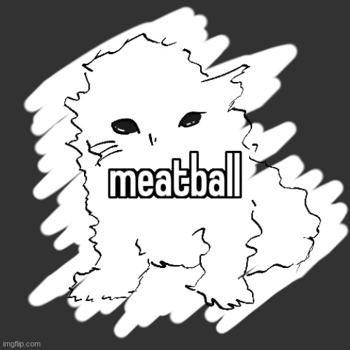 meatball | image tagged in meatball | made w/ Imgflip meme maker