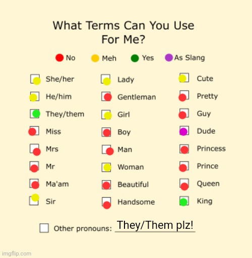 King of Picky Pronouns Lol Haven't Posted Here in a While | They/Them plz! | image tagged in pronouns sheet | made w/ Imgflip meme maker