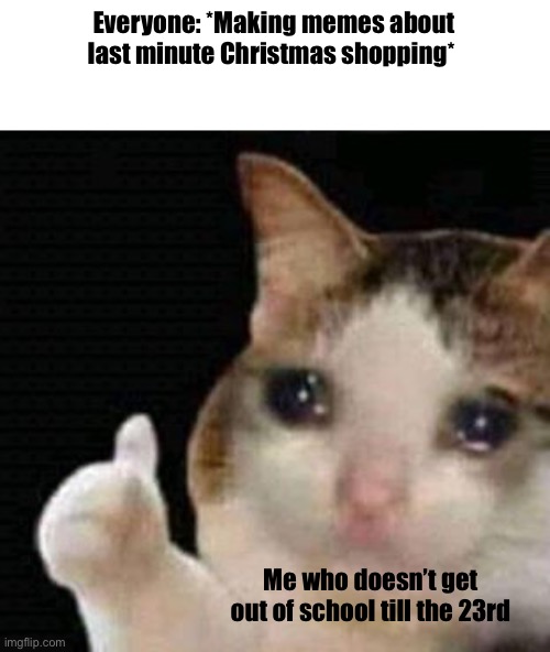 School makes me sad |  Everyone: *Making memes about last minute Christmas shopping*; Me who doesn’t get out of school till the 23rd | image tagged in sad thumbs up cat | made w/ Imgflip meme maker