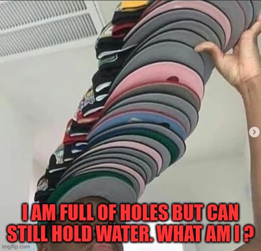 I AM FULL OF HOLES BUT CAN STILL HOLD WATER. WHAT AM I ? | image tagged in riddle | made w/ Imgflip meme maker