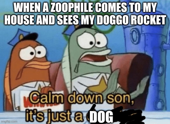 But once he starts unzipping his pants that's when i'm getting my shotgun | WHEN A ZOOPHILE COMES TO MY HOUSE AND SEES MY DOGGO ROCKET; DOG | image tagged in calm down son it's just a drawing | made w/ Imgflip meme maker