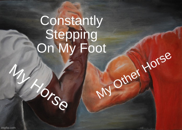 the pain is real | Constantly Stepping On My Foot; My Other Horse; My Horse | image tagged in memes,epic handshake,horse | made w/ Imgflip meme maker