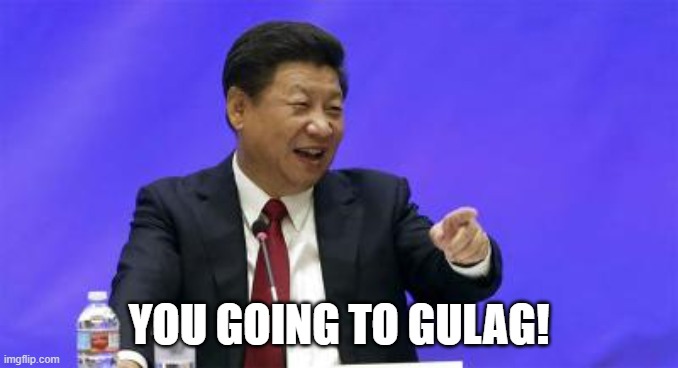 Xi Jinping Laughing | YOU GOING TO GULAG! | image tagged in xi jinping laughing | made w/ Imgflip meme maker