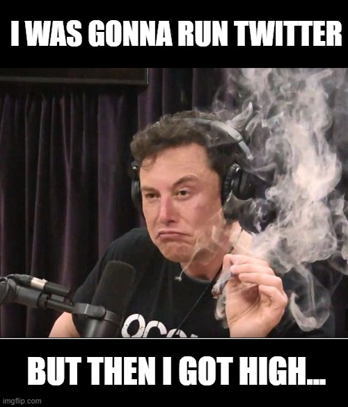 Elon Musk smoking a joint | I WAS GONNA RUN TWITTER BUT THEN I GOT HIGH... | image tagged in elon musk smoking a joint | made w/ Imgflip meme maker