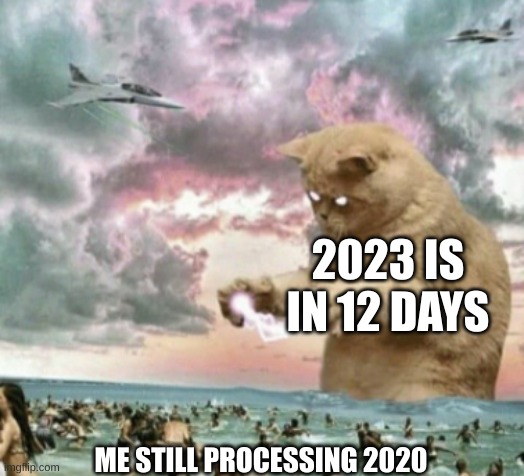 mega cat | 2023 IS IN 12 DAYS; ME STILL PROCESSING 2020 | image tagged in mega cat | made w/ Imgflip meme maker