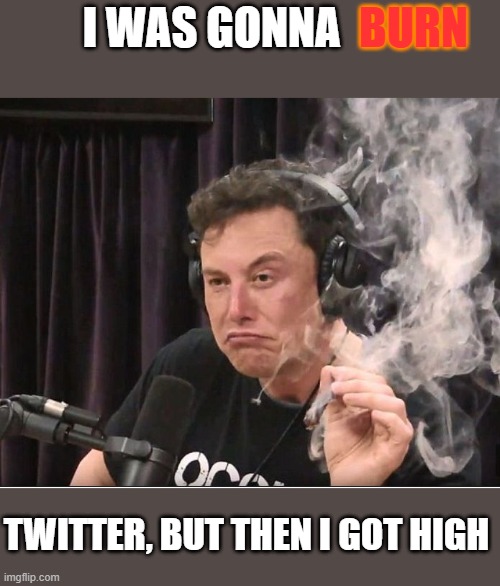 Elon Musk smoking a joint | I WAS GONNA TWITTER, BUT THEN I GOT HIGH BURN | image tagged in elon musk smoking a joint | made w/ Imgflip meme maker