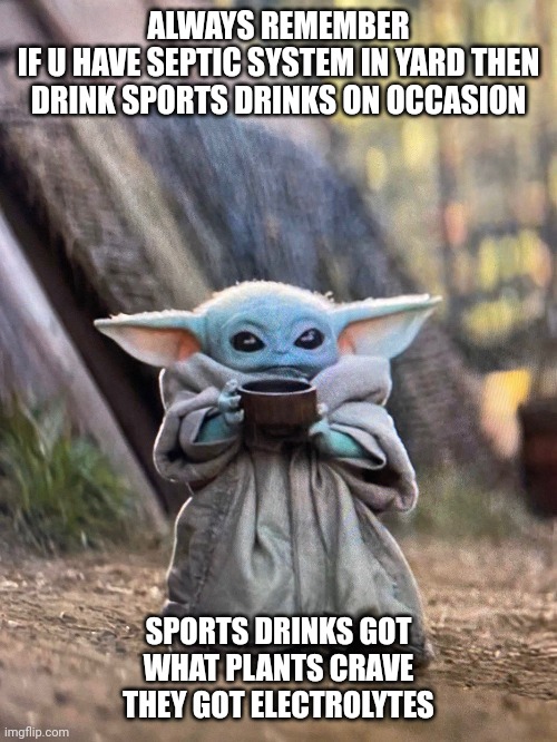 BABY YODA TEA | ALWAYS REMEMBER
IF U HAVE SEPTIC SYSTEM IN YARD THEN DRINK SPORTS DRINKS ON OCCASION; SPORTS DRINKS GOT WHAT PLANTS CRAVE
THEY GOT ELECTROLYTES | image tagged in baby yoda tea | made w/ Imgflip meme maker