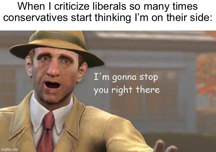 Wow wow hold your horses | When I criticize liberals so many times conservatives start thinking I’m on their side: | image tagged in i'm gonna stop you right there | made w/ Imgflip meme maker