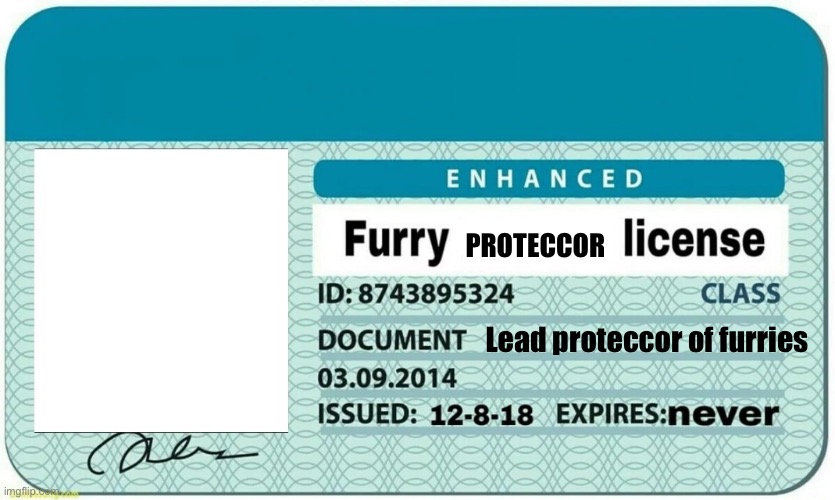 Furry Proteccor License Blank Meme Template