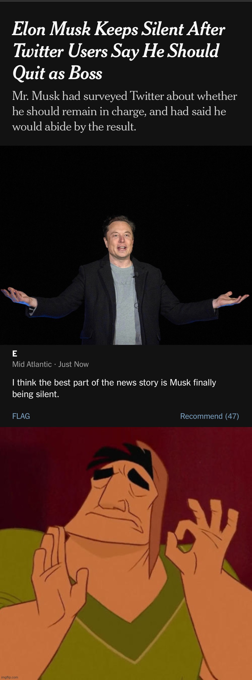 Troll of the Day: Elon Musk | image tagged in elon musk silent,when x just right | made w/ Imgflip meme maker