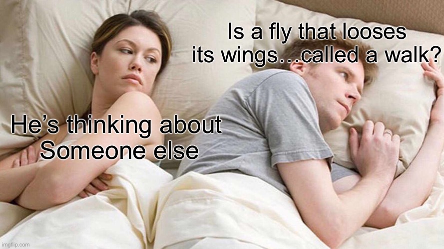 I Bet He's Thinking About Other Women Meme | Is a fly that looses its wings…called a walk? He’s thinking about 
Someone else | image tagged in memes,i bet he's thinking about other women | made w/ Imgflip meme maker