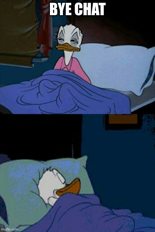 sleepy donald duck in bed | BYE CHAT | image tagged in sleepy donald duck in bed | made w/ Imgflip meme maker