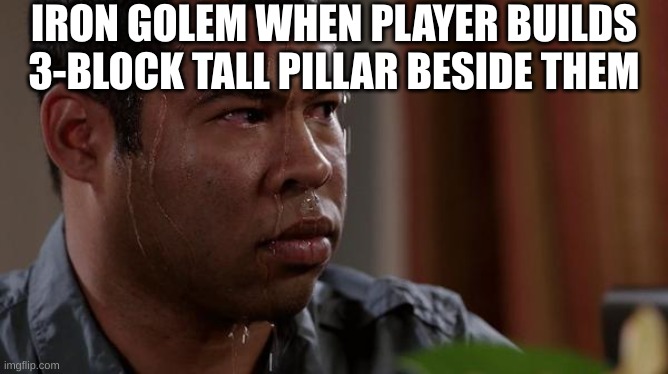 sweating bullets | IRON GOLEM WHEN PLAYER BUILDS 3-BLOCK TALL PILLAR BESIDE THEM | image tagged in sweating bullets | made w/ Imgflip meme maker