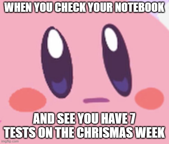 P a i n . (yeah I still have school this week TwT) |  WHEN YOU CHECK YOUR NOTEBOOK; AND SEE YOU HAVE 7 TESTS ON THE CHRISMAS WEEK | image tagged in blank kirby face,school,test,too much,memes,funny | made w/ Imgflip meme maker
