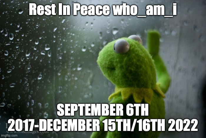 Press F for paying respect to our very own who_am_i who hasn't been in this stream but is a great ally | Rest In Peace who_am_i; SEPTEMBER 6TH 2017-DECEMBER 15TH/16TH 2022 | image tagged in kermit window,rest in peace,who_am_i,retirement,leaving,imgflip | made w/ Imgflip meme maker