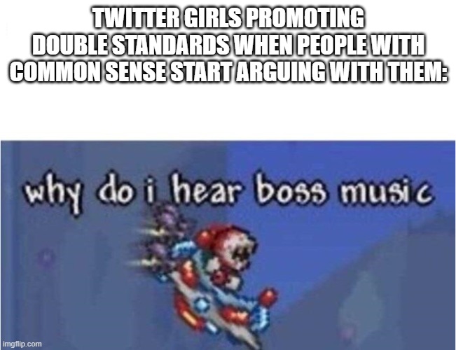 Let's say it. Common sense is the greatest enemy of a blue-haired chick. | TWITTER GIRLS PROMOTING DOUBLE STANDARDS WHEN PEOPLE WITH COMMON SENSE START ARGUING WITH THEM: | image tagged in why do i hear boss music,double standards,common sense,twitter,memes | made w/ Imgflip meme maker
