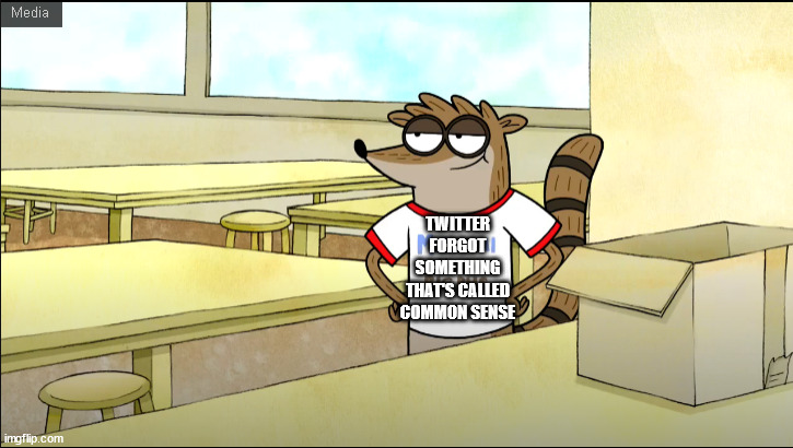 Rigby wearing a Fact Tshirt | TWITTER FORGOT SOMETHING THAT'S CALLED COMMON SENSE | image tagged in rigby wearing a fact tshirt | made w/ Imgflip meme maker