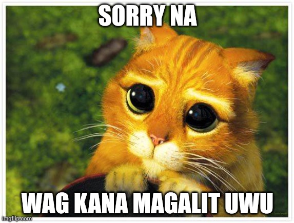 Sorry Kitty | SORRY NA; WAG KANA MAGALIT UWU | image tagged in sorry kitty | made w/ Imgflip meme maker