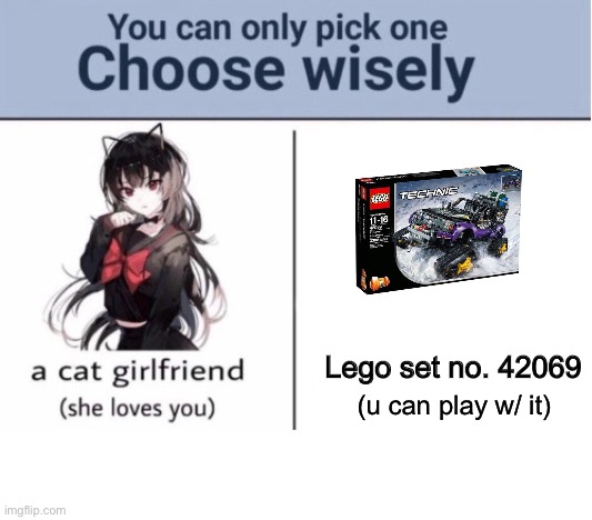 Hard choice | Lego set no. 42069; (u can play w/ it) | image tagged in choose wisely | made w/ Imgflip meme maker