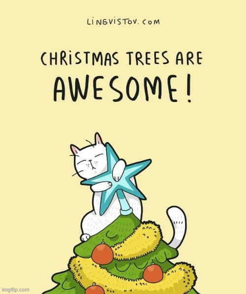 A Cat's Way Of Thinking At Christmas | image tagged in memes,comics,cats,christmas tree,star,awesome | made w/ Imgflip meme maker