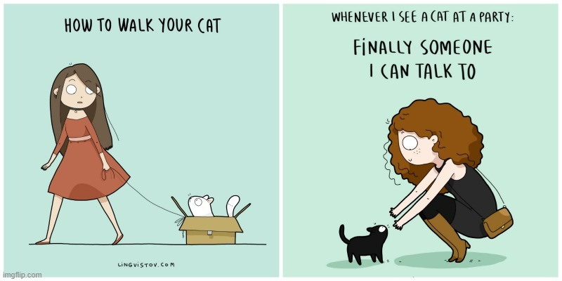 A Cat Lady's Way Of Thinking | image tagged in memes,comics,cats,cat lady,walk,talk | made w/ Imgflip meme maker